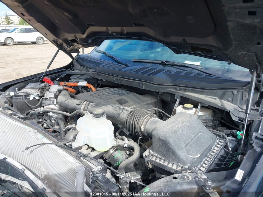 1FTFW1ED1PFC41311 2023 FORD F-150 photo no. 10