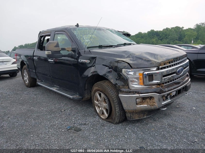 1FTFW1E58KFD20881 2019 Ford F-150 Xlt auction photo 1