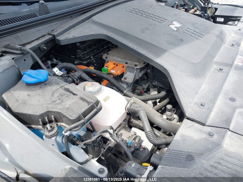 2025 Hyundai Ioniq 5 N VIN: KM8KNDA83SU006002 Lot: 12381061