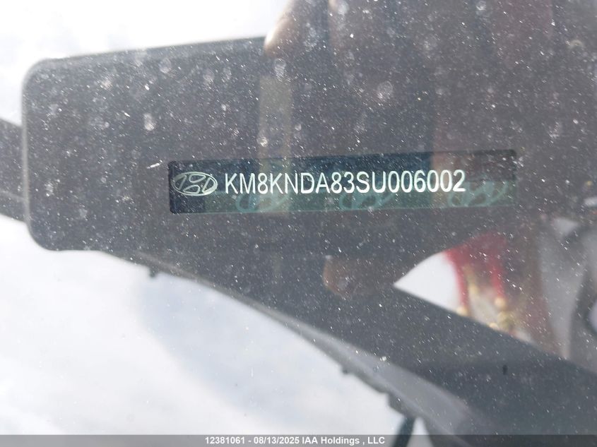 2025 Hyundai Ioniq 5 N VIN: KM8KNDA83SU006002 Lot: 12381061