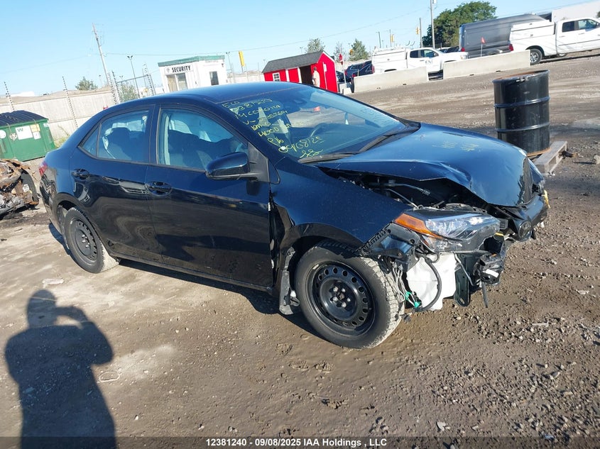 2T1BURHE6KC235769 2019 Toyota Corolla Le auction photo 1