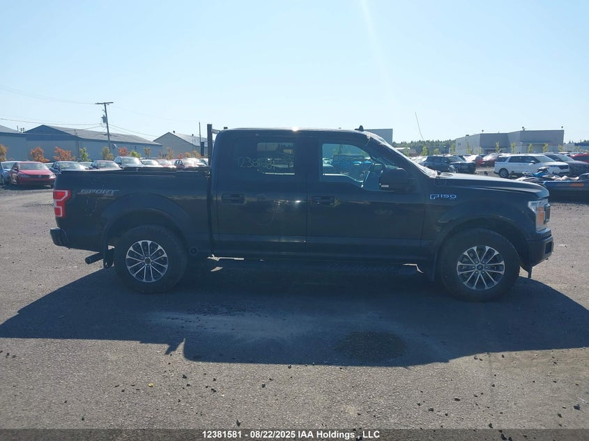 1FTEW1EP7KKF05198 2019 FORD F-150 photo no. 13