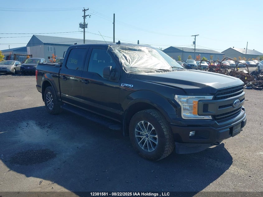 1FTEW1EP7KKF05198 2019 FORD F-150 photo no. 22