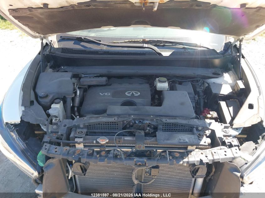 2017 Infiniti Qx60 VIN: 5N1DL0MMXHC501974 Lot: 12381597