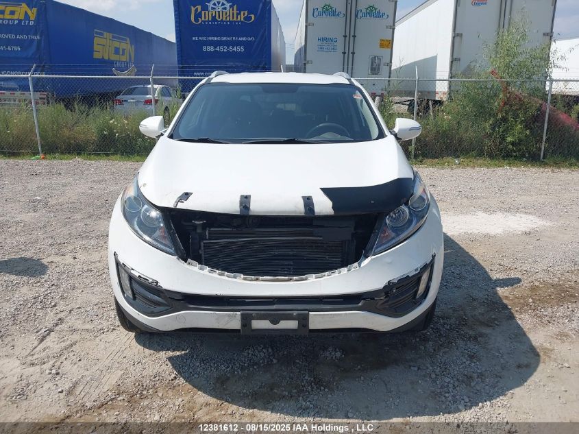 2014 Kia Sportage Lx VIN: KNDPBCAC8E7591356 Lot: 12381612