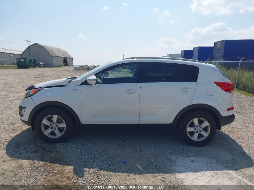 2014 Kia Sportage Lx VIN: KNDPBCAC8E7591356 Lot: 12381612