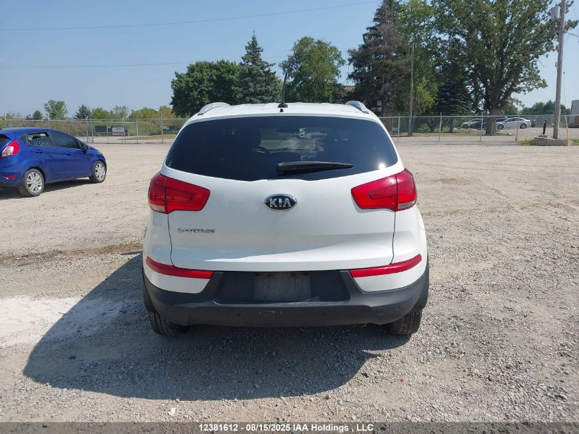 2014 Kia Sportage Lx VIN: KNDPBCAC8E7591356 Lot: 12381612