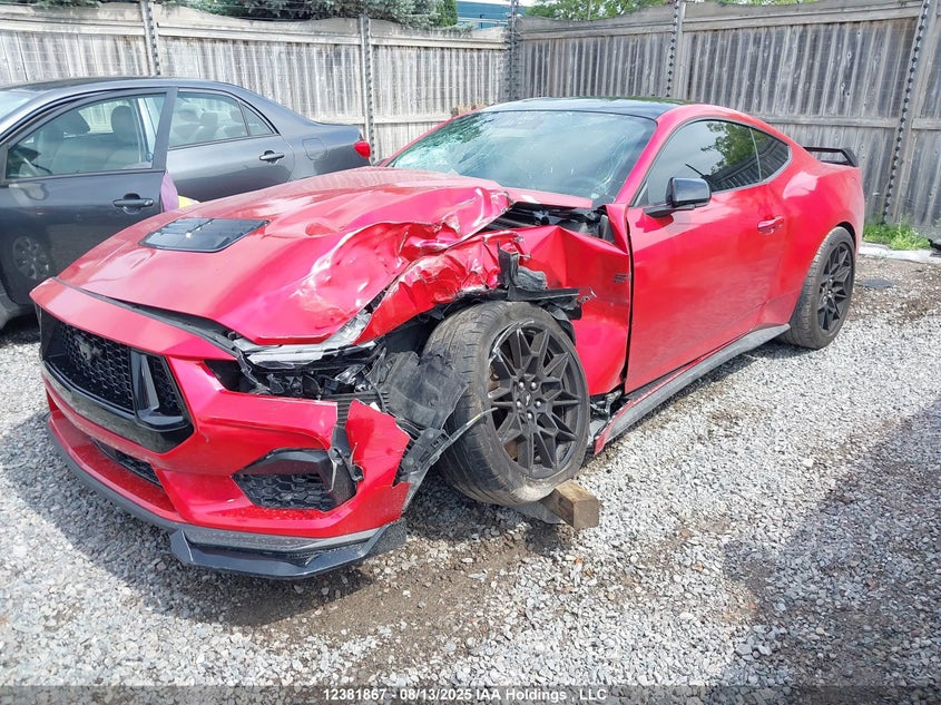1FA6P8CF6R5432554 2024 FORD MUSTANG photo no. 2