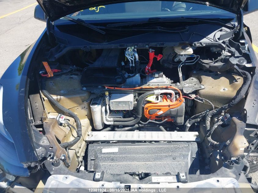 2024 Tesla Model Y VIN: 7SAYGDEEXRF099616 Lot: 12381924