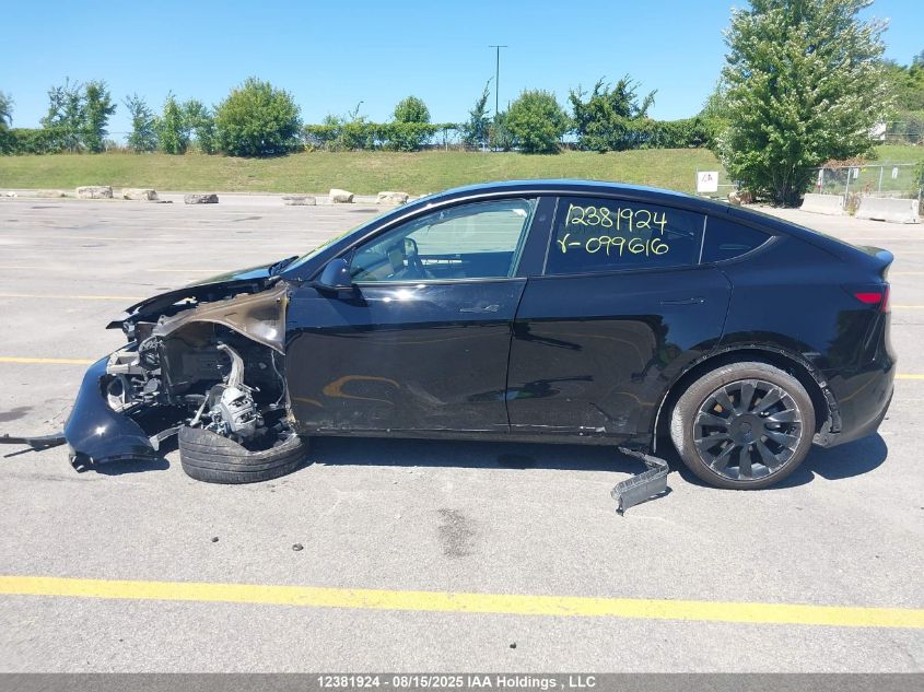 2024 Tesla Model Y VIN: 7SAYGDEEXRF099616 Lot: 12381924