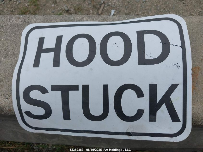 2024 Tesla Model Y Long Range VIN: 7SAYGDEE9RF989878 Lot: 12382389