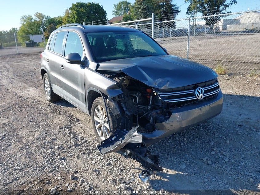 WVGJV7AX9DW019669 2013 Volkswagen Tiguan 2.0 Tsi Comfortline/2.0 Tsi Highline/2.0 Tsi Trendline auction photo 1