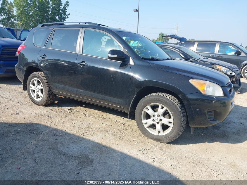 2T3BF4DV4CW229737 2012 Toyota Rav4 auction photo 1