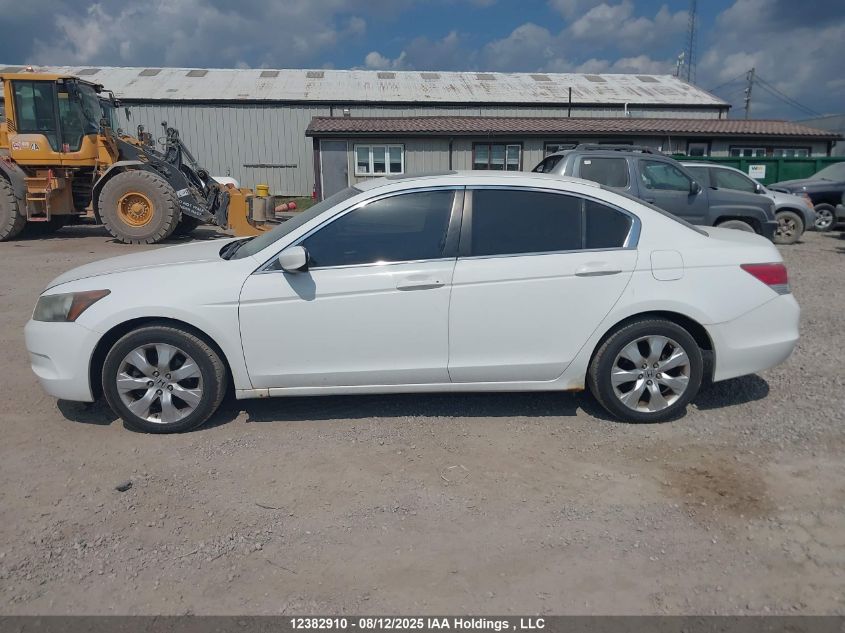 2010 Honda Accord Ex VIN: 1HGCP2F77AA802146 Lot: 12382910