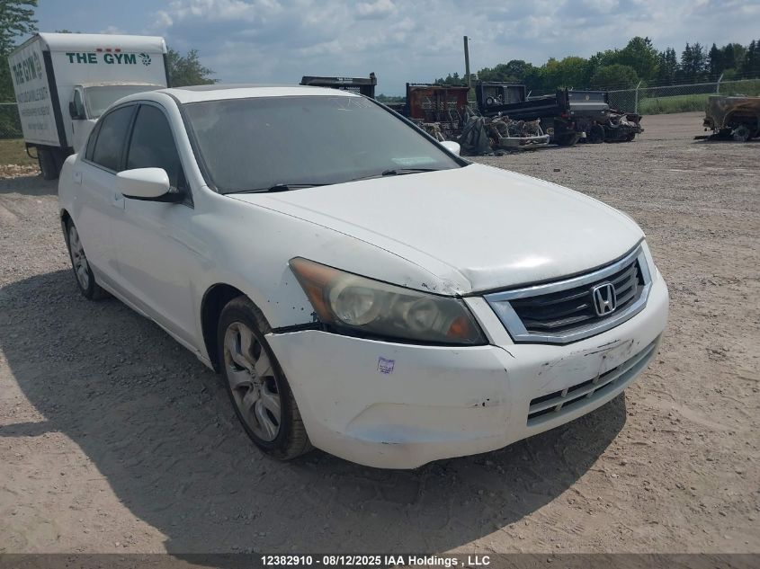 2010 Honda Accord Ex VIN: 1HGCP2F77AA802146 Lot: 12382910