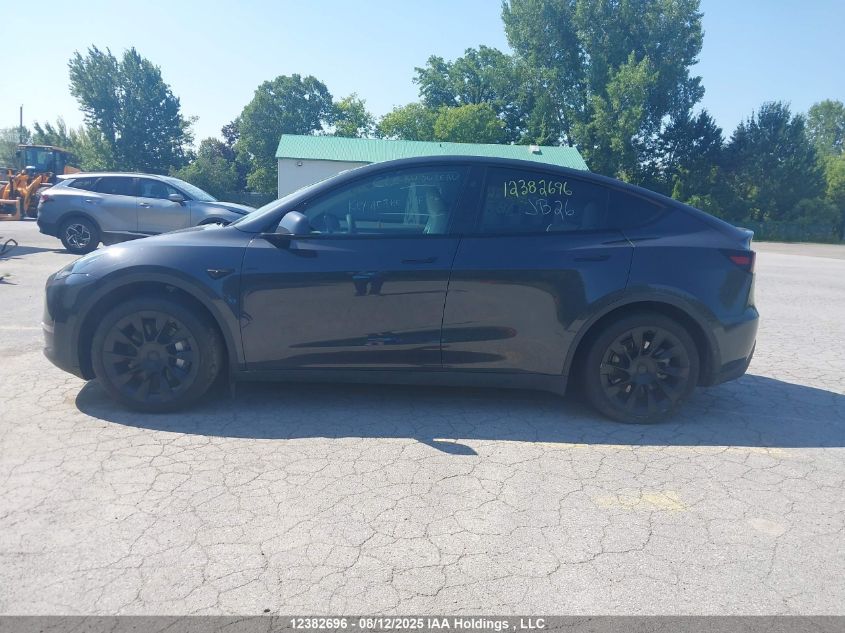 2024 Tesla Model Y VIN: 7SAYGDEE5RF048802 Lot: 12382696X