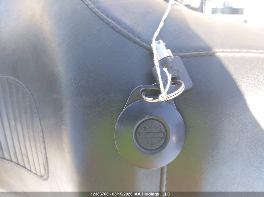 2005 Harley-Davidson Fxd VIN: 5HD1GHV175K307474 Lot: 12383768