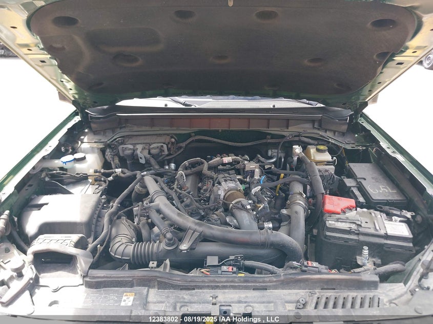 2023 Ford Bronco Big Bend/Black Diamond/Outer Banks/Badlands/Wildtrak/Everglades VIN: 1FMEE5DP9PLB11193 Lot: 12383802