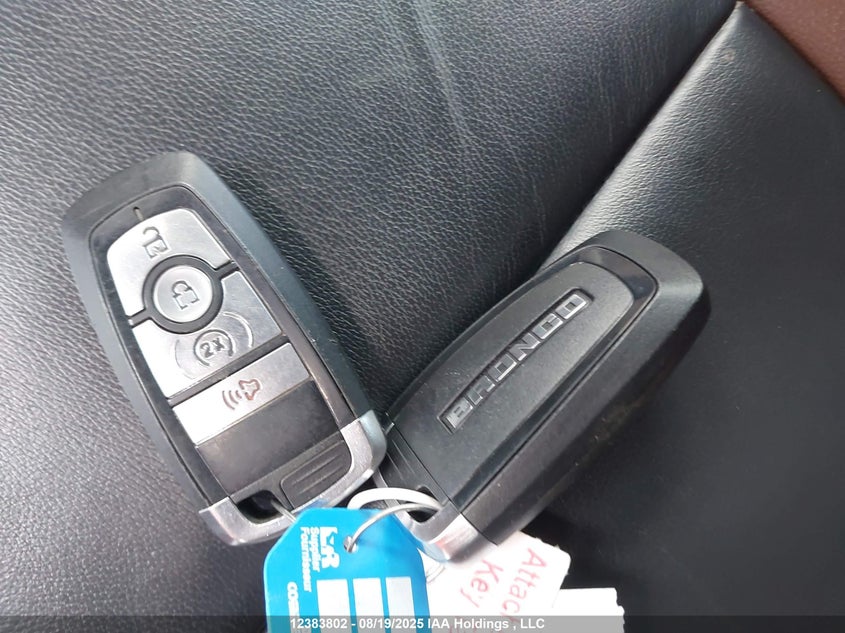 2023 Ford Bronco Big Bend/Black Diamond/Outer Banks/Badlands/Wildtrak/Everglades VIN: 1FMEE5DP9PLB11193 Lot: 12383802