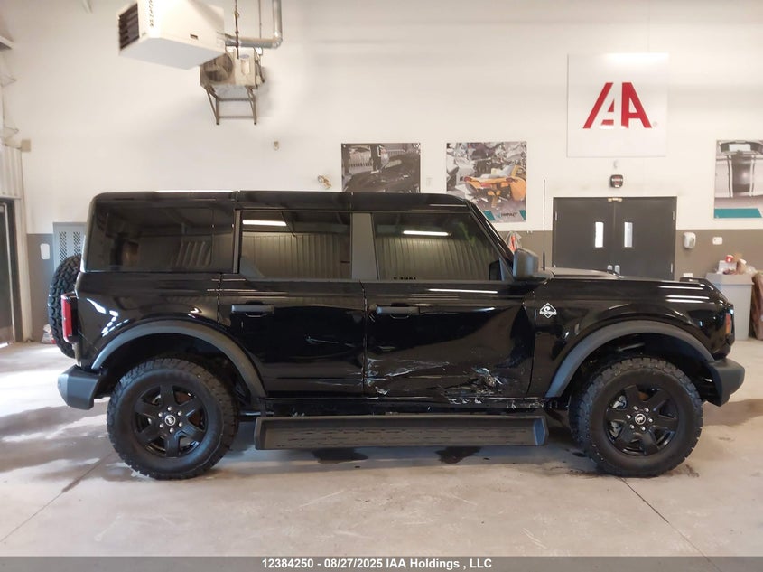 2025 Ford Bronco Outer Banks VIN: 1FMDE8BH4SLA90206 Lot: 12384250