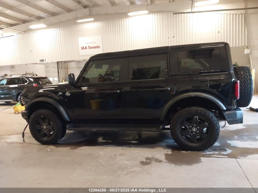 2025 Ford Bronco Outer Banks VIN: 1FMDE8BH4SLA90206 Lot: 12384250