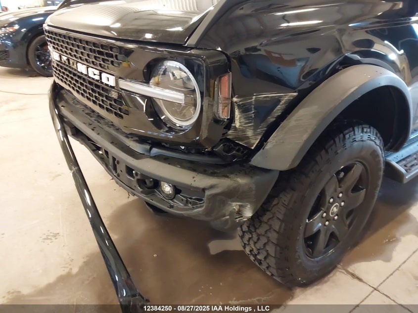 2025 Ford Bronco Outer Banks VIN: 1FMDE8BH4SLA90206 Lot: 12384250