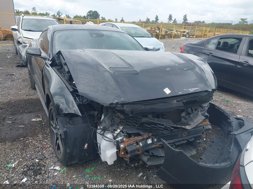 1FA6P8TH3K5179989 2019 Ford Mustang auction photo 1