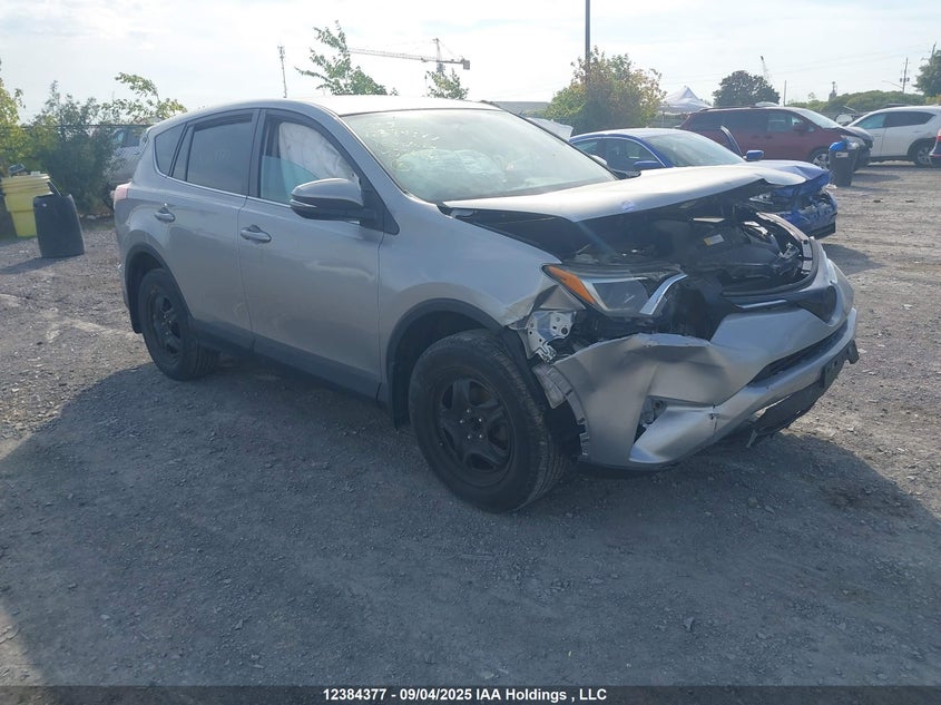 2T3BFREV4GW455696 2016 Toyota Rav4 Le auction photo 1
