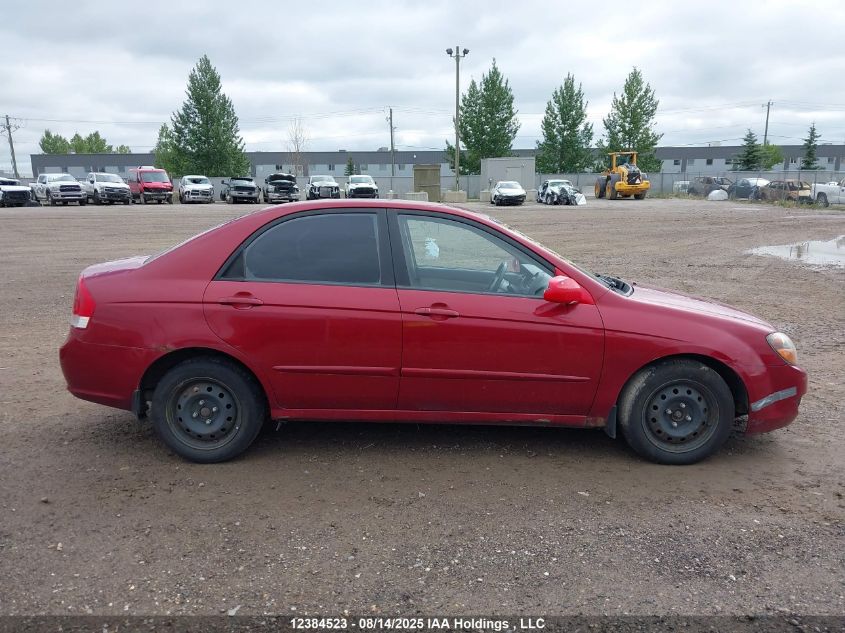 2009 Kia Spectra VIN: KNAFE221995649919 Lot: 12384523