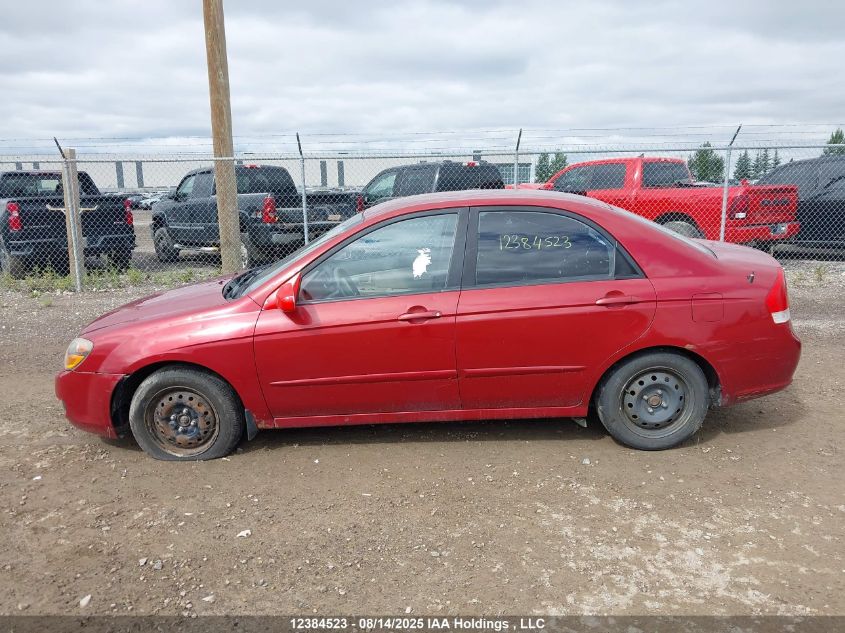 2009 Kia Spectra VIN: KNAFE221995649919 Lot: 12384523