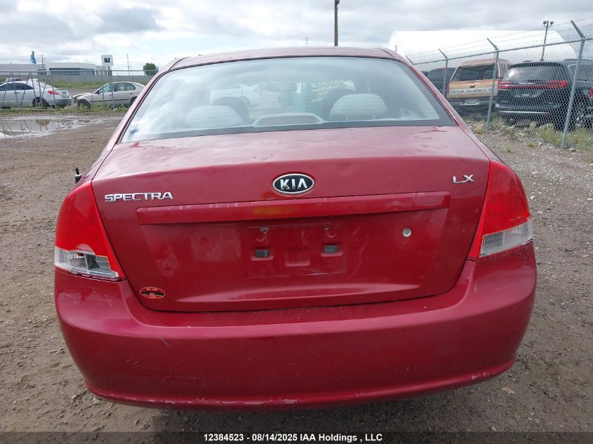2009 Kia Spectra VIN: KNAFE221995649919 Lot: 12384523