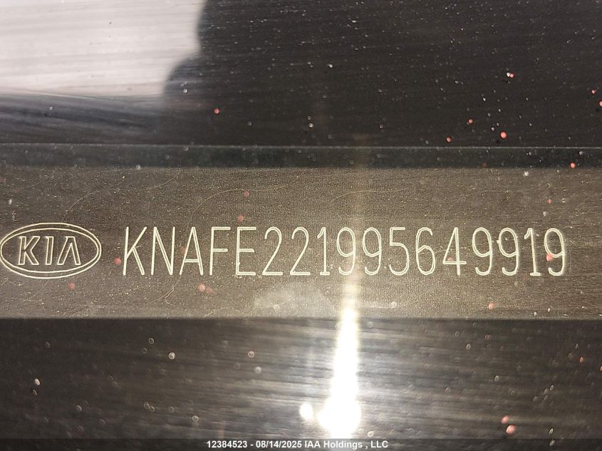 2009 Kia Spectra VIN: KNAFE221995649919 Lot: 12384523