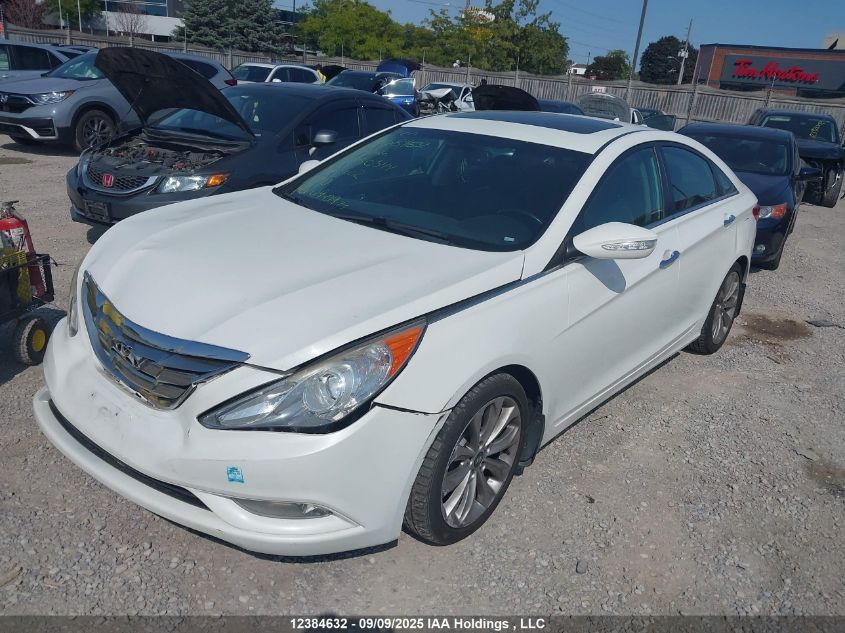2011 Hyundai Sonata 2.0T Limited VIN: 5NPEC4AB2BH250544 Lot: 12384632