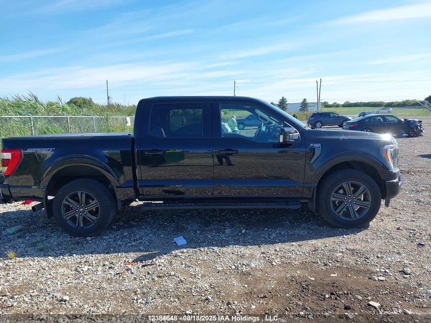 1FTFW1E80PFB93450 2023 FORD F-150 photo no. 12