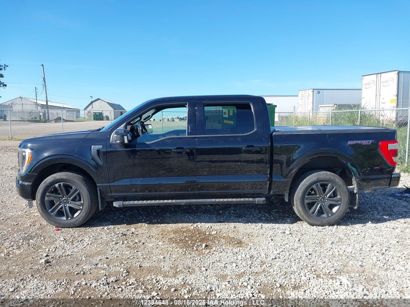 1FTFW1E80PFB93450 2023 FORD F-150 photo no. 13