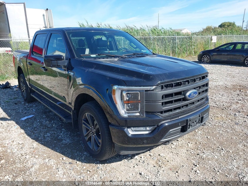 1FTFW1E80PFB93450 2023 FORD F-150 photo no. 12