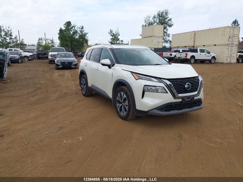 米田 DENSO MECHANICAL COMPRESSOR OIL ND8 PAG 46 R134A 250ML | eBay