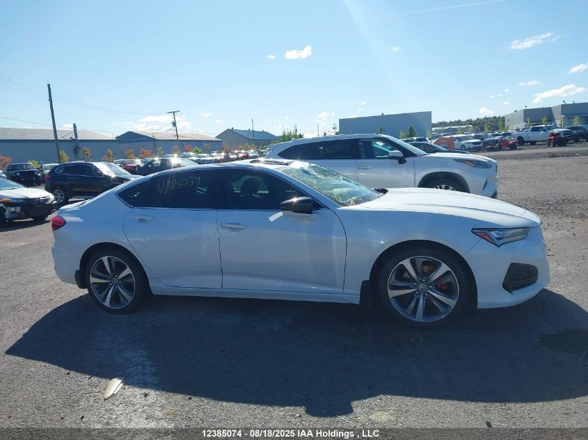 2021 Acura Tlx Platinum Elite VIN: 19UUB6F91MA801865 Lot: 12385074