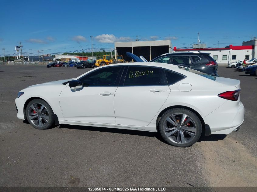 2021 Acura Tlx Platinum Elite VIN: 19UUB6F91MA801865 Lot: 12385074