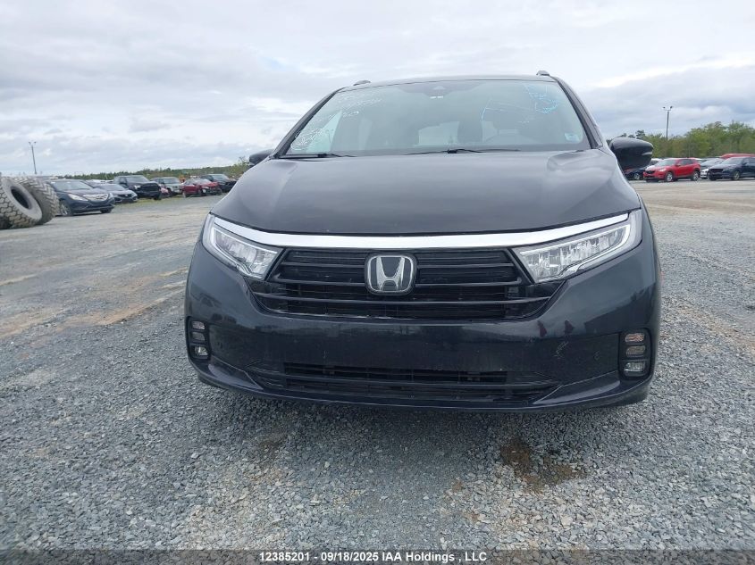 2022 Honda Odyssey Ex-L VIN: 5FNRL6H64NB504960 Lot: 12385201
