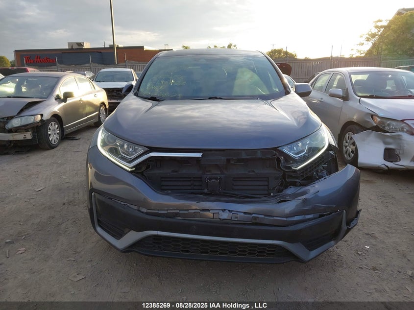 2020 Honda Cr-V Lx VIN: 2HKRW2H25LH230258 Lot: 12385269