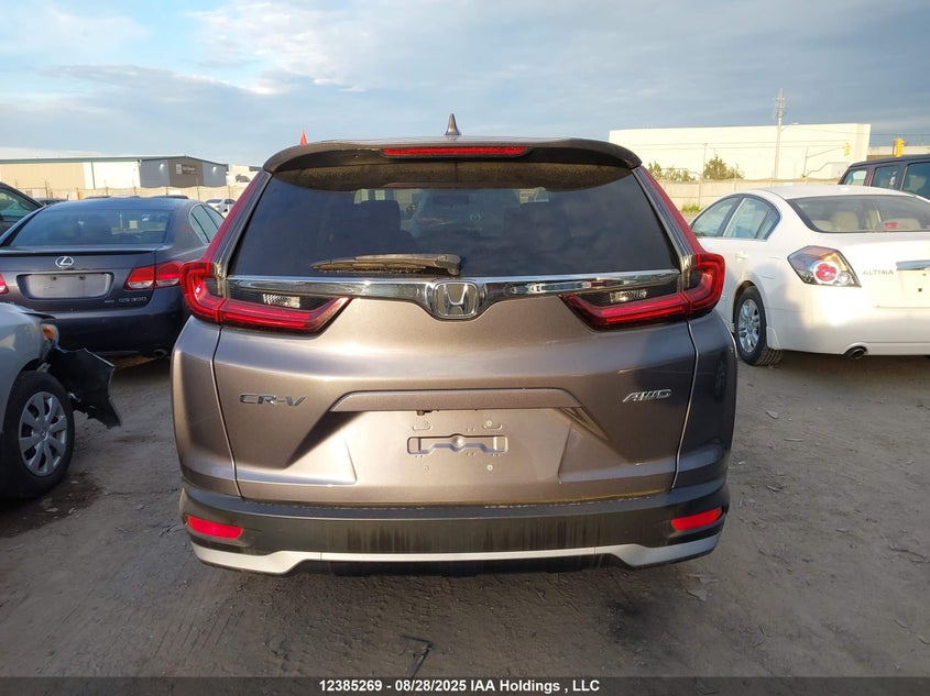 2020 Honda Cr-V Lx VIN: 2HKRW2H25LH230258 Lot: 12385269