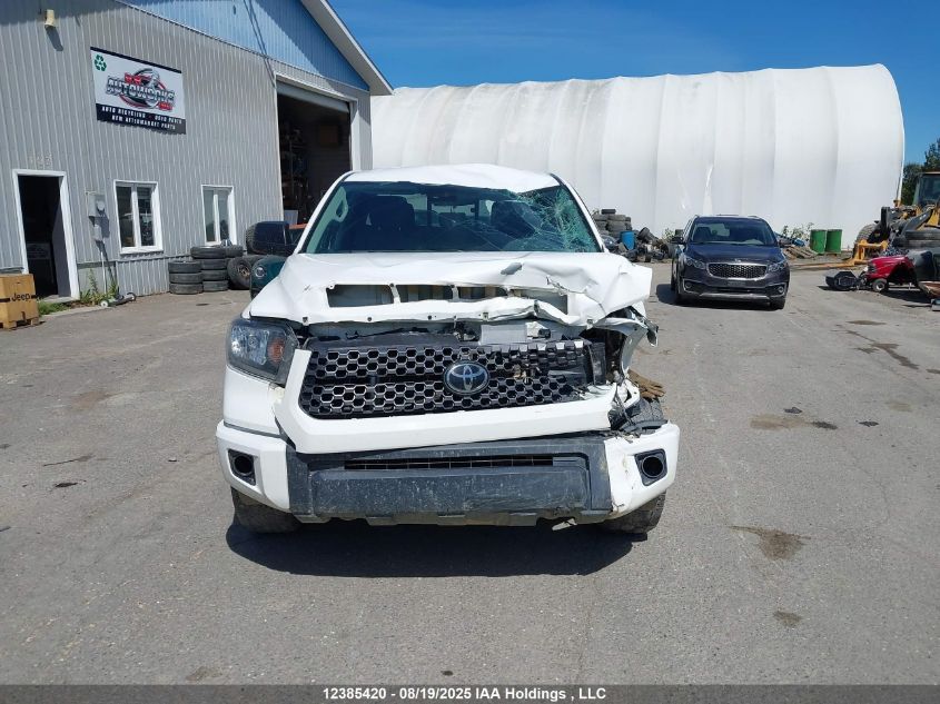 2020 Toyota Tundra VIN: 5TFUY5F15LX925960 Lot: 12385420