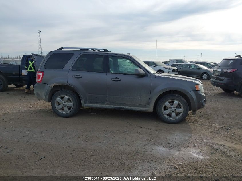 2010 Ford Escape Limited VIN: 1FMCU9EG4AKA99192 Lot: 12385541