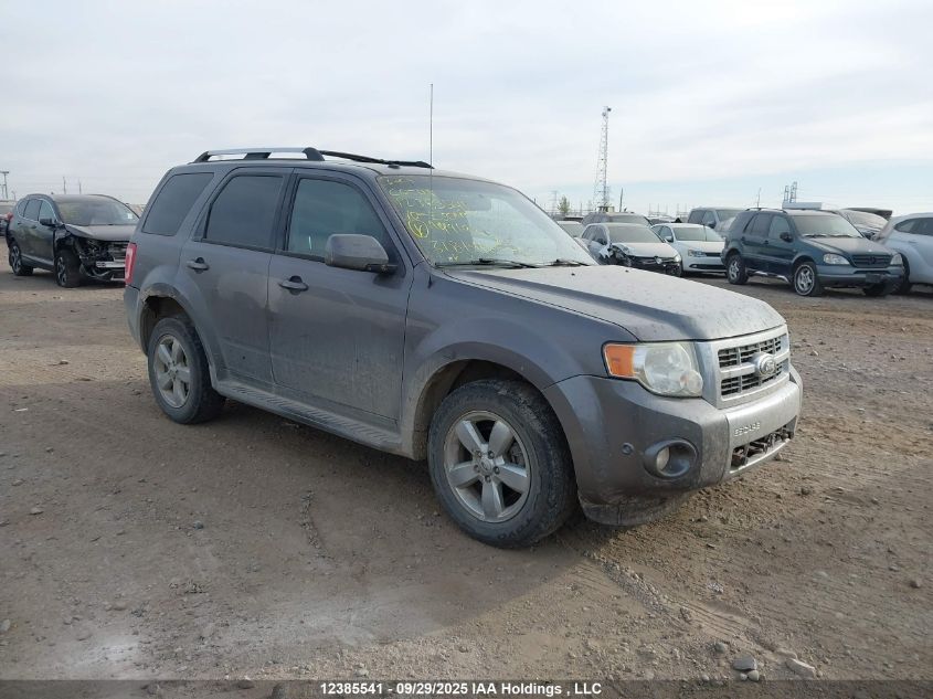 2010 Ford Escape Limited VIN: 1FMCU9EG4AKA99192 Lot: 12385541
