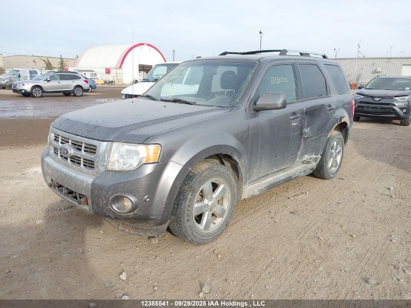 2010 Ford Escape Limited VIN: 1FMCU9EG4AKA99192 Lot: 12385541