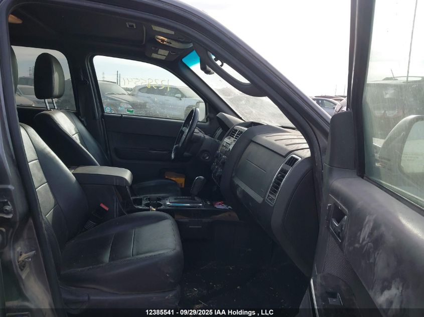 2010 Ford Escape Limited VIN: 1FMCU9EG4AKA99192 Lot: 12385541