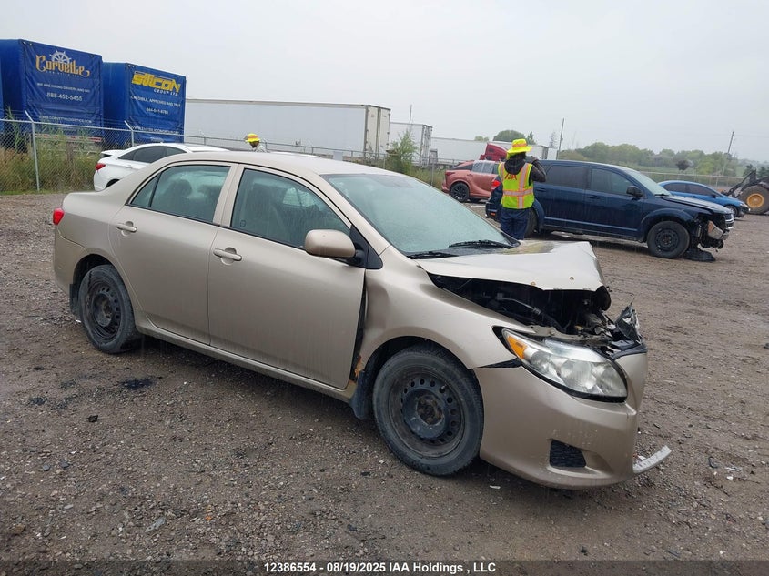 2T1BU4EE3AC390186 2010 Toyota Corolla Ce auction photo 1