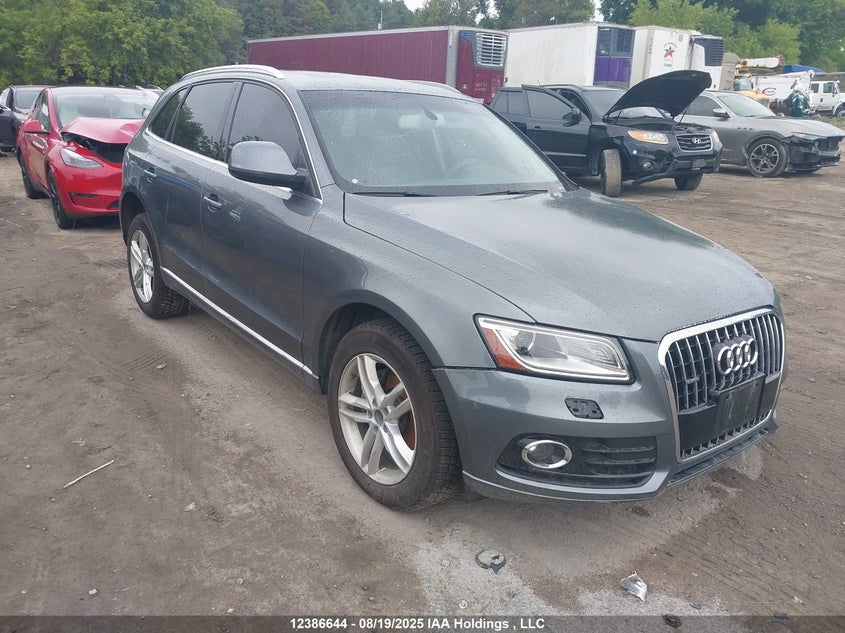 WA1LFCFP1EA059121 2014 Audi Q5 2.0 Progressiv auction photo 1