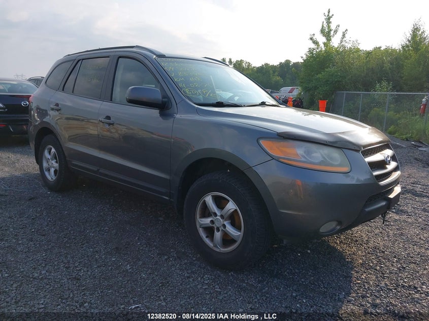5NMSG13E69H233962 2009 Hyundai Santa Fe Gl/Gls auction photo 1